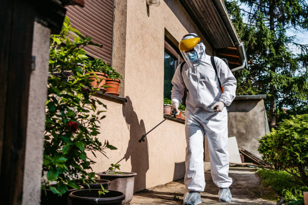 Best Commercial Pest Control Services  in Bridgeville, PA