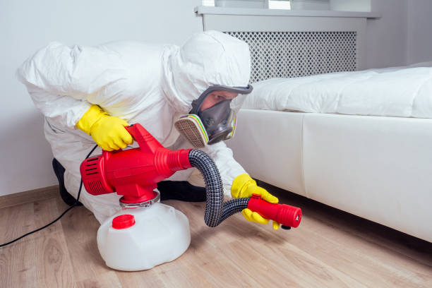 Best Mosquito Control Services  in Bridgeville, PA